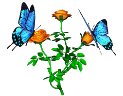 butterflies on a flower 